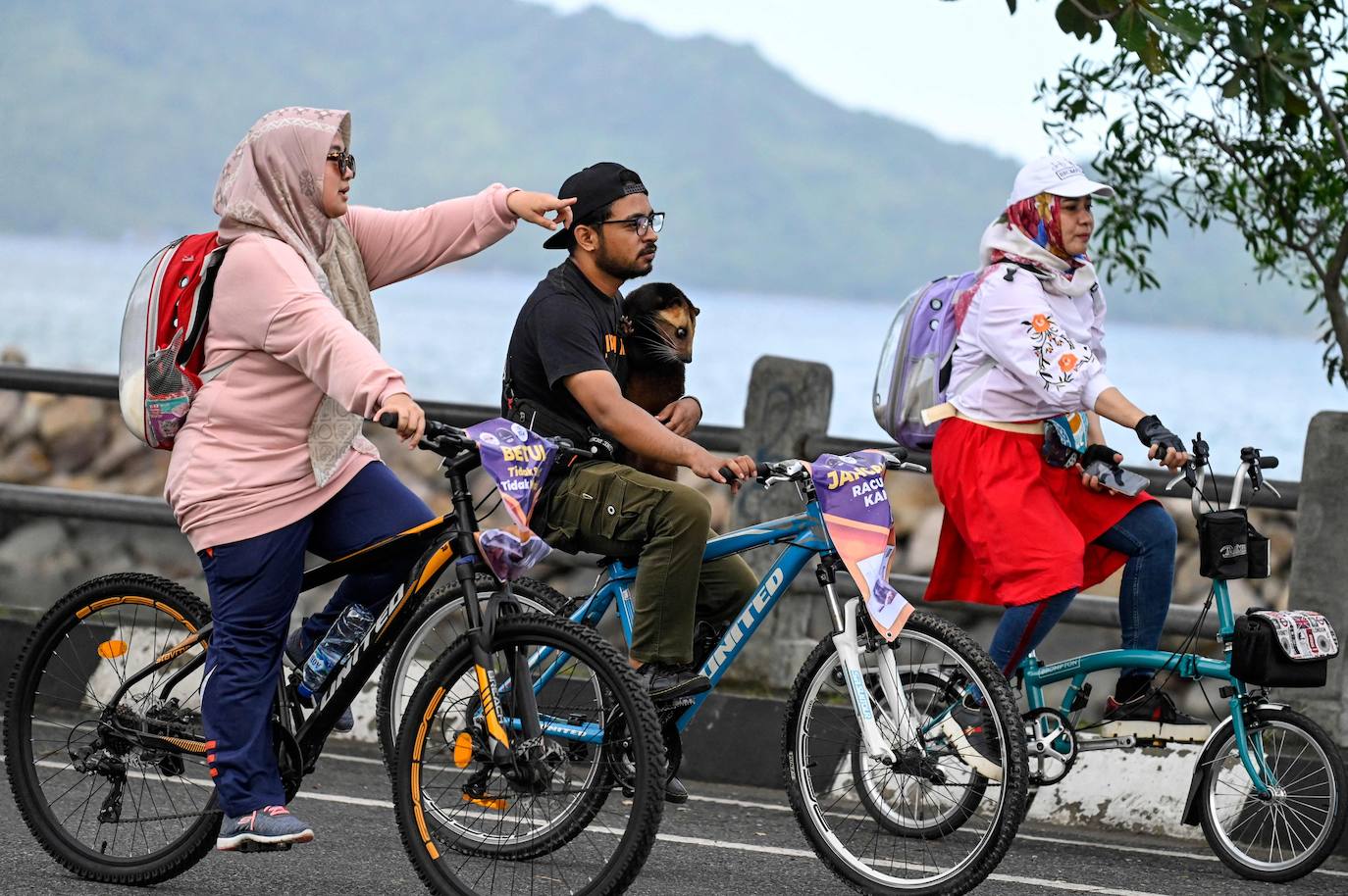 Fotos: Día Mundial del Animal en Indonesia