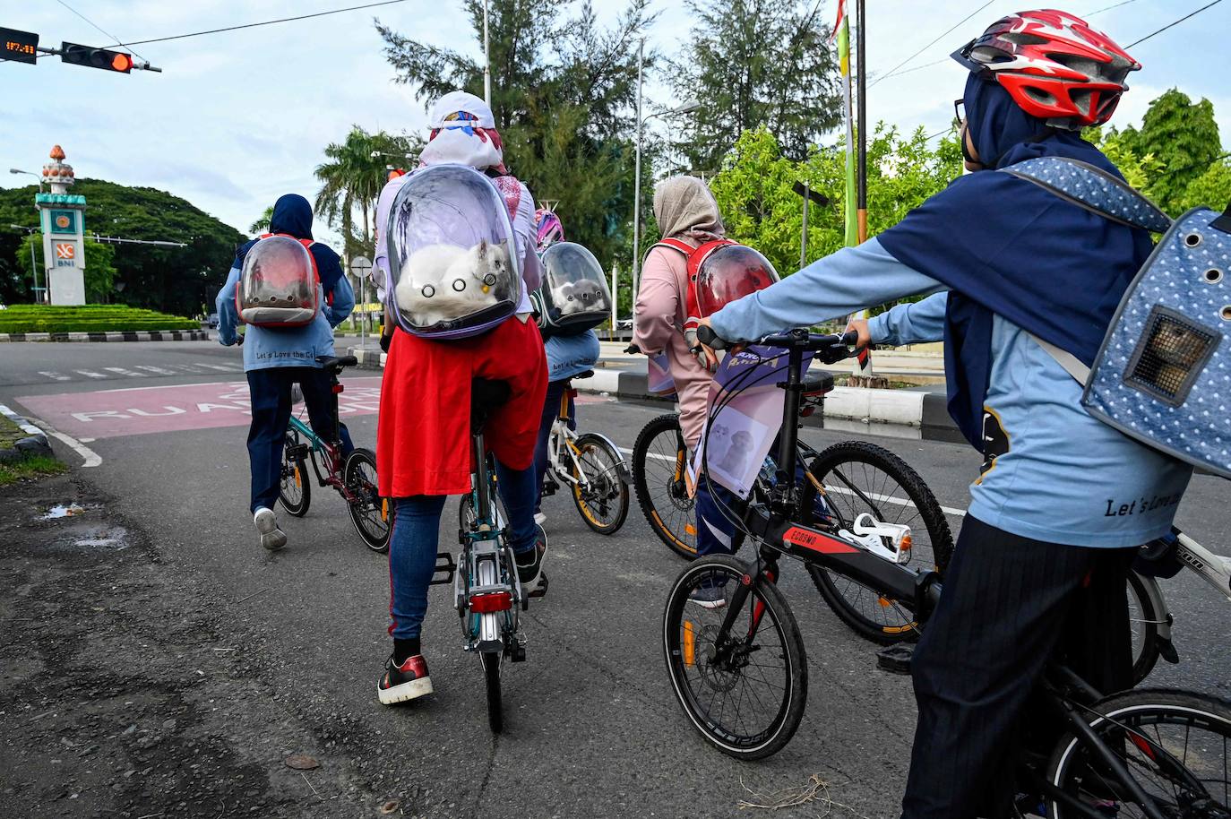 Fotos: Día Mundial del Animal en Indonesia