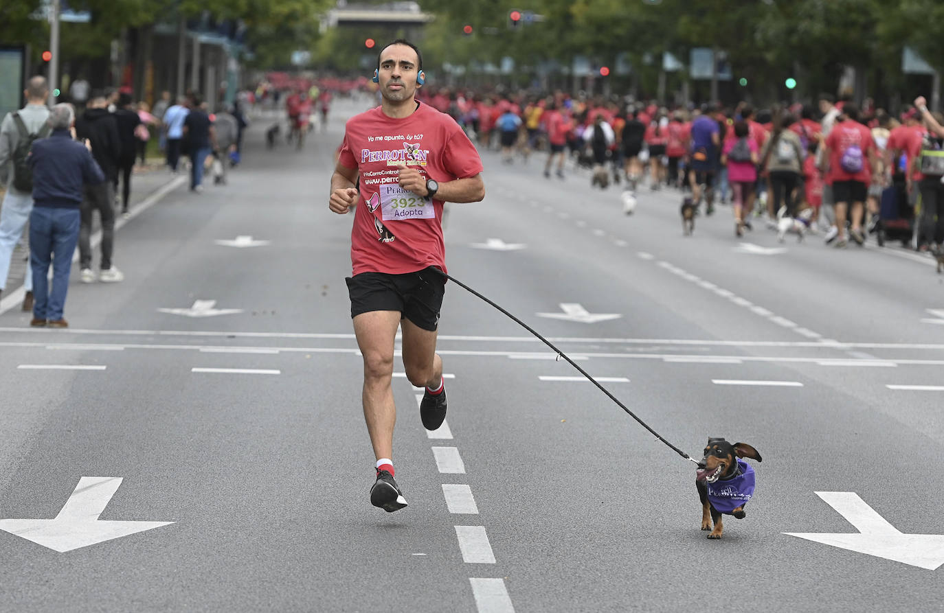 Fotos: Perrotón Madrid 2022