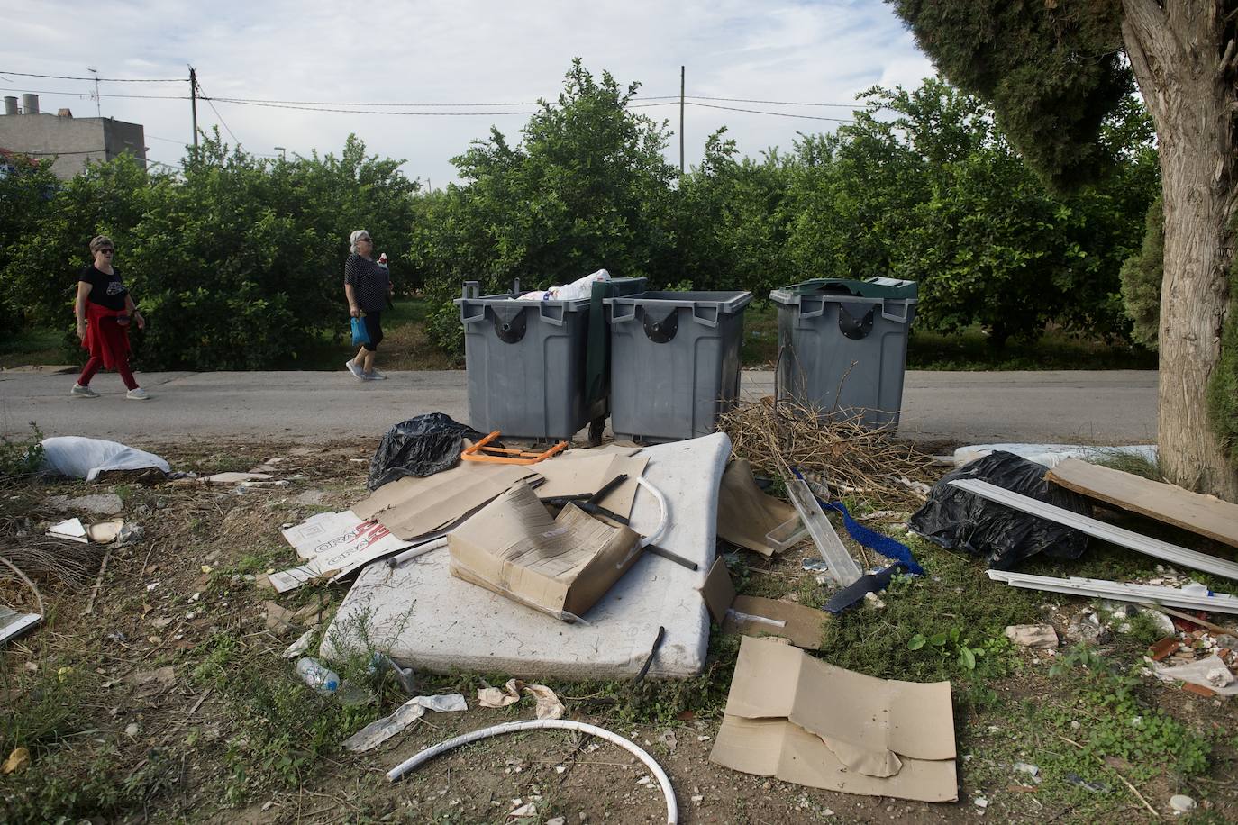 Fotos: Crecen las quejas por la falta de limpieza en Murcia