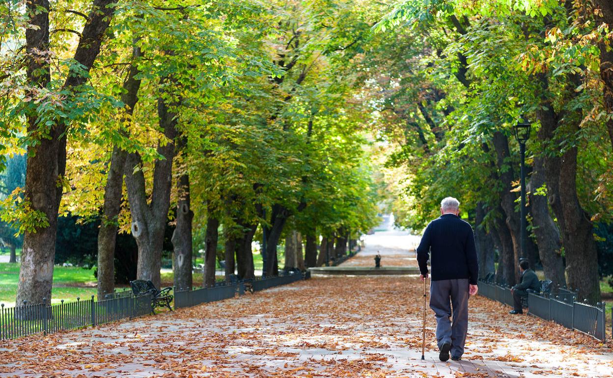 Las novedades en pensiones: la nueva ley incentiva a quien quiera seguir trabajando voluntariamente