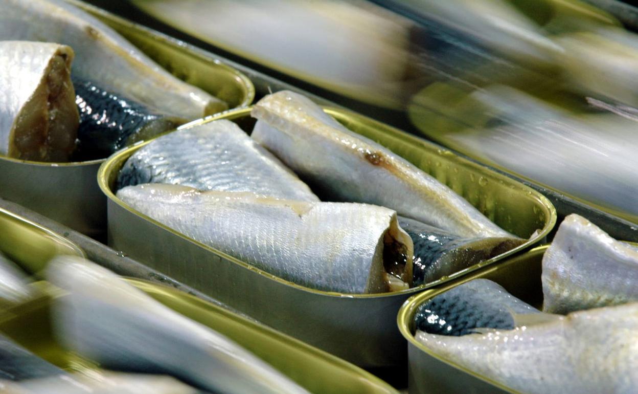 Alerta alimentaria: retiran unas latas de sardinas en aceite de girasol por presencia de histamina