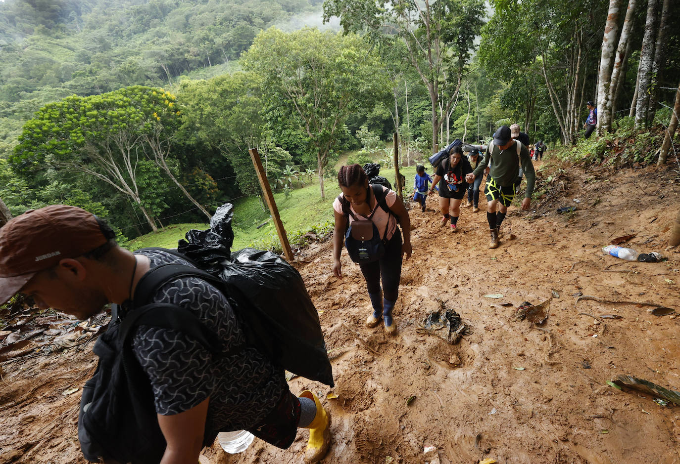 Fotos: A través de la selva