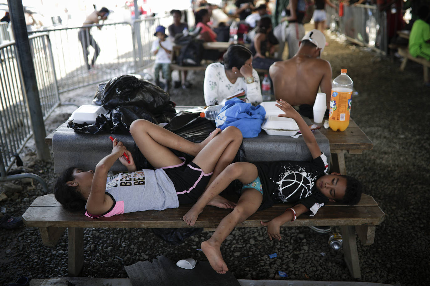 Fotos: A través de la selva