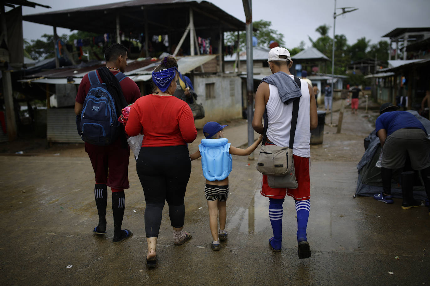 Fotos: A través de la selva