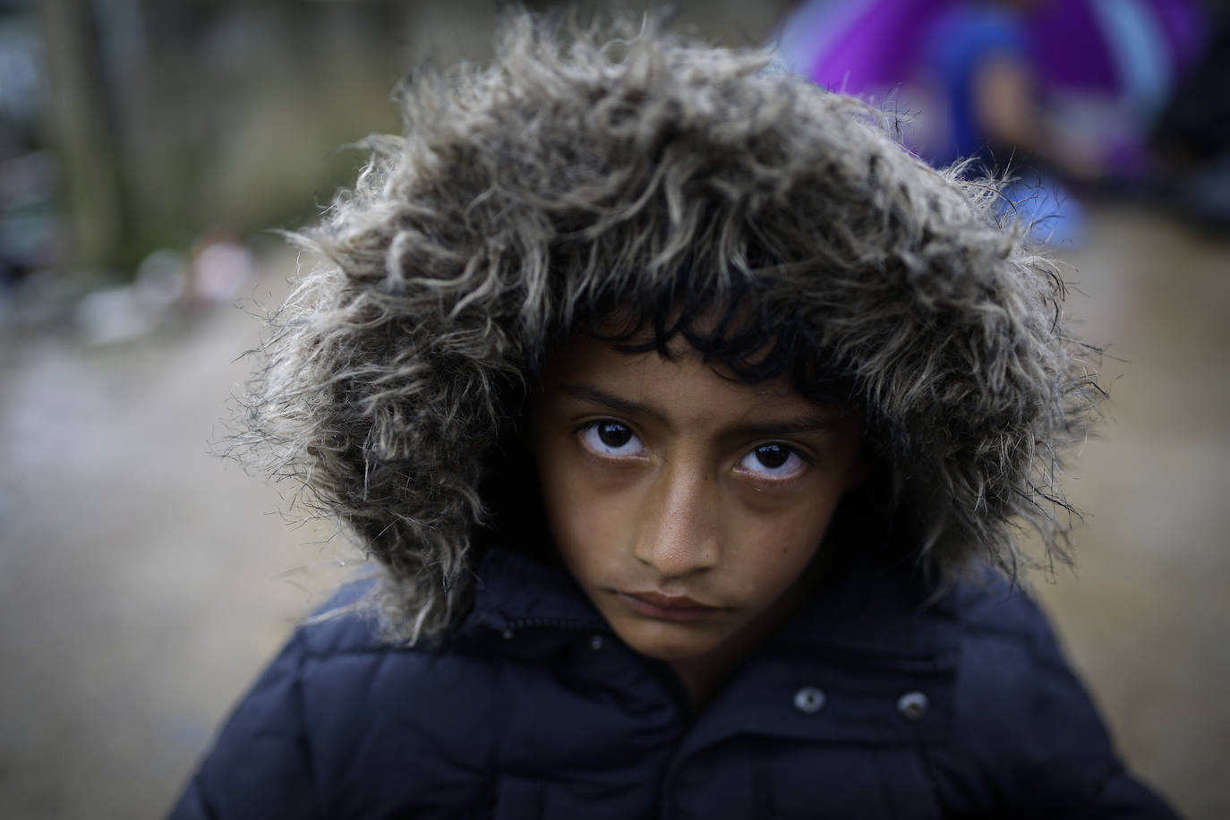 Fotos: A través de la selva