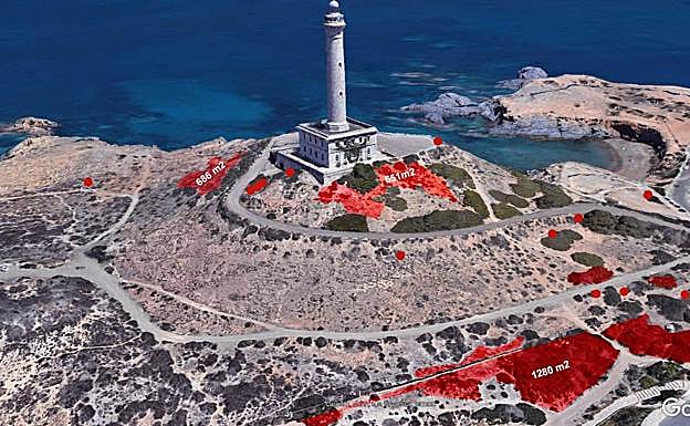 Áreas de invasoras que se contempla retirar en el proyecto. 