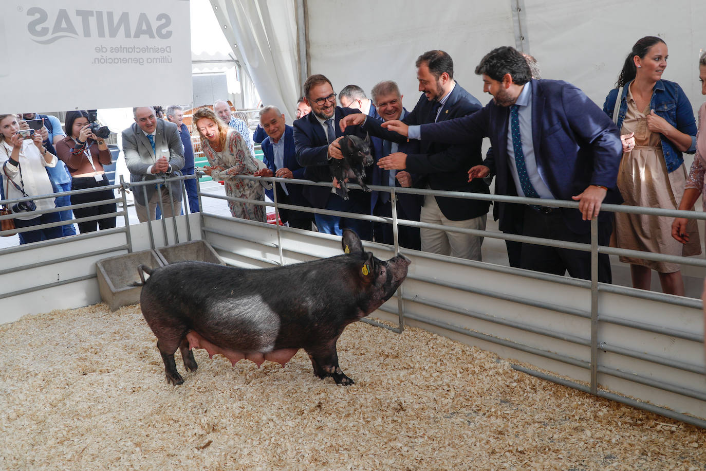 Fotos: Inauguración de la feria ganadera y agroalimentaria Sepor en Lorca