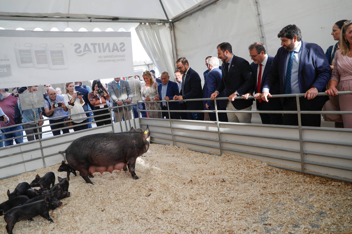 Fotos: Inauguración de la feria ganadera y agroalimentaria Sepor en Lorca