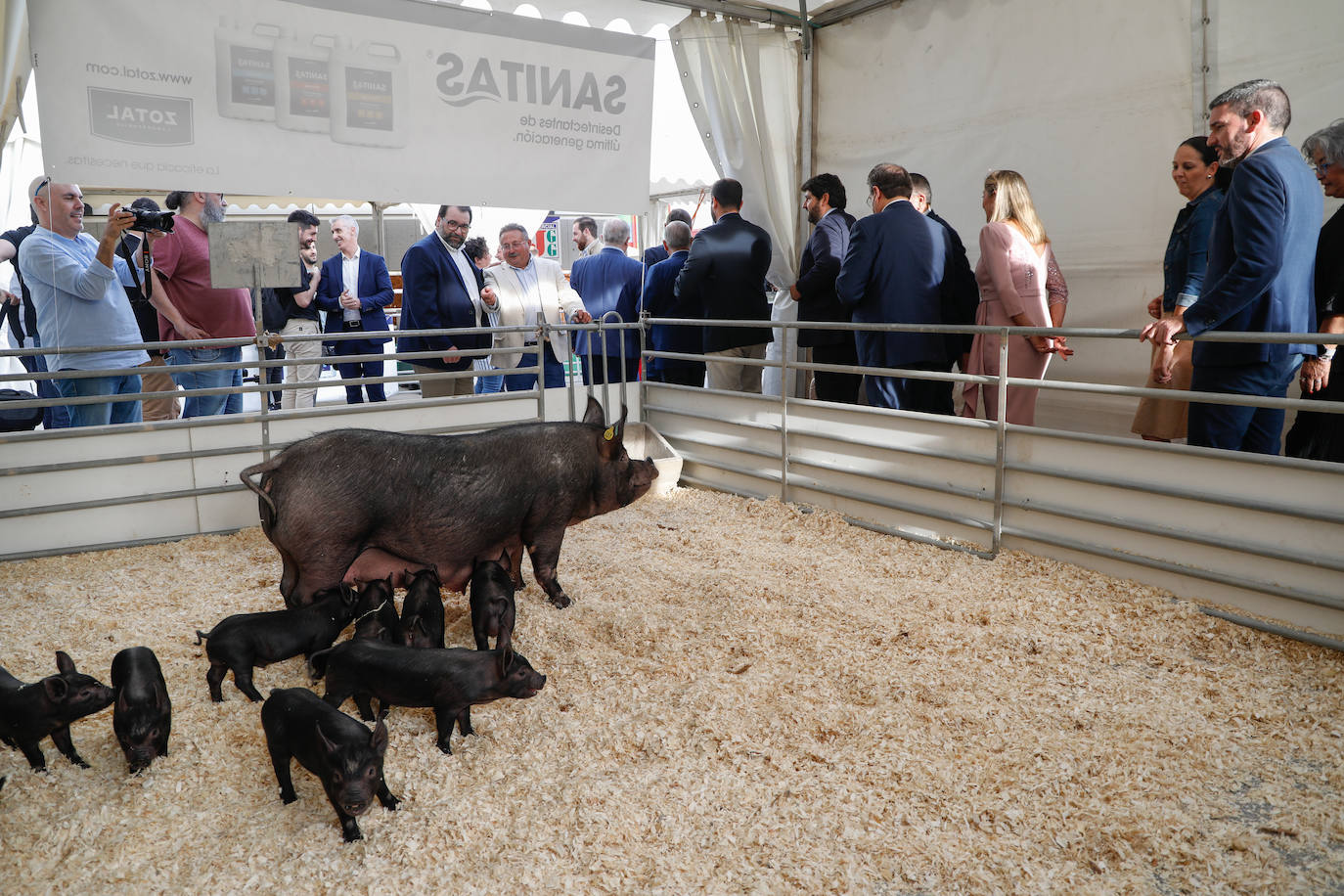 Fotos: Inauguración de la feria ganadera y agroalimentaria Sepor en Lorca