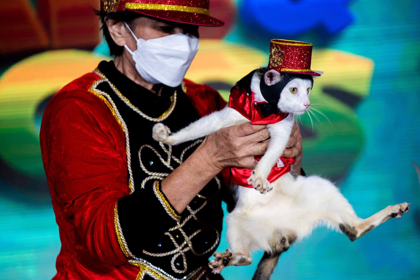 Fotos: Halloween para mascotas