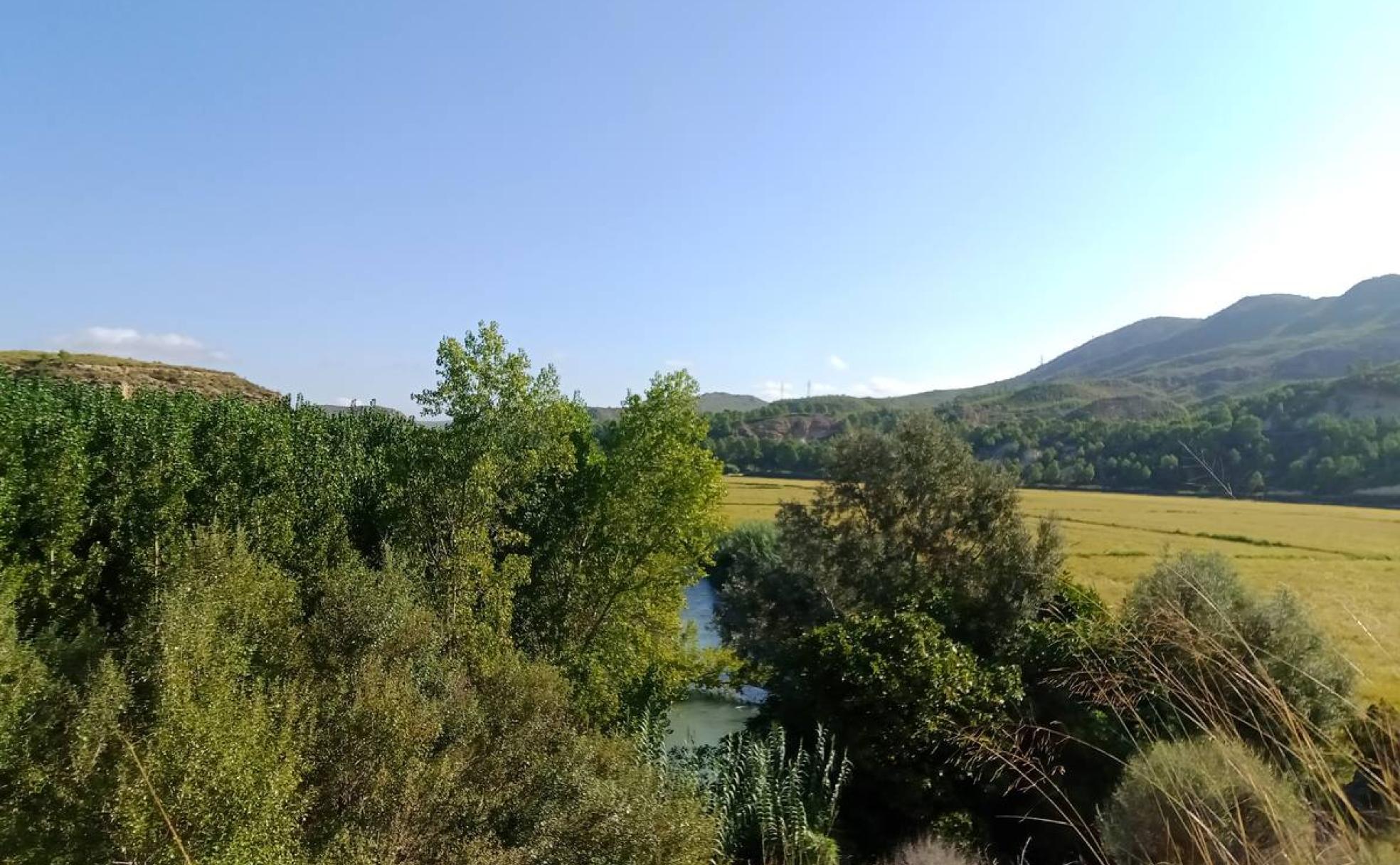 Finca de la Reserva Natural de Cañaverosa, en la que se concentran las actuaciones. 