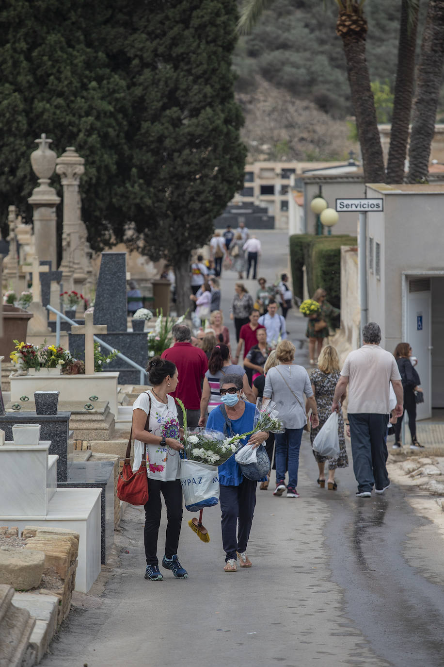 Fotos: Preparativos en el cementerio de Cartagena