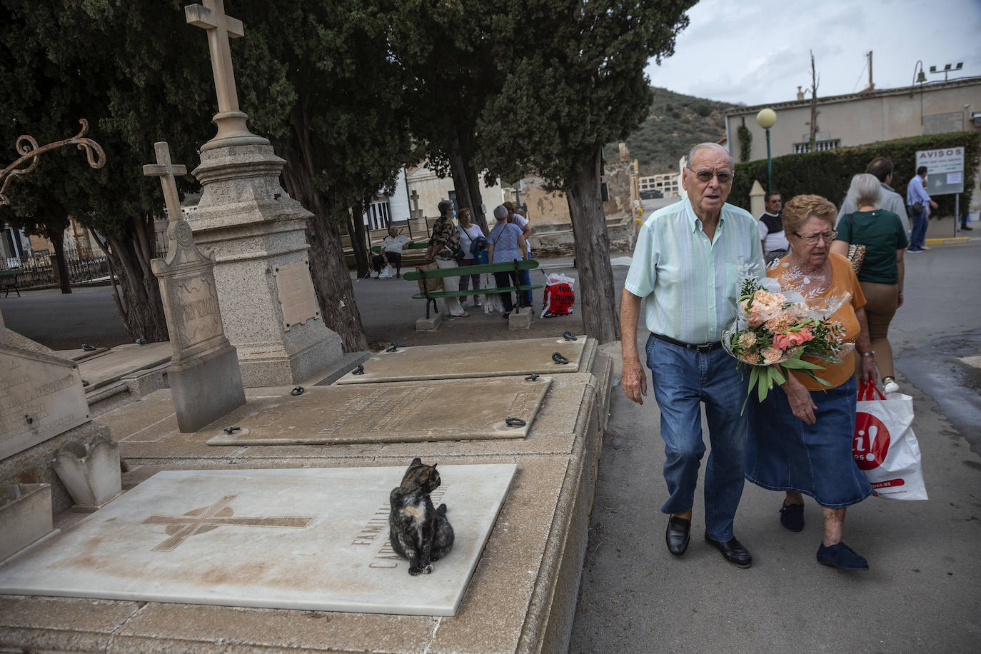 Fotos: Preparativos en el cementerio de Cartagena