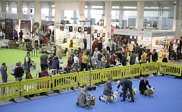 El certamen, que despierta gran interés social, es un referente a nivel nacional y europeo. 