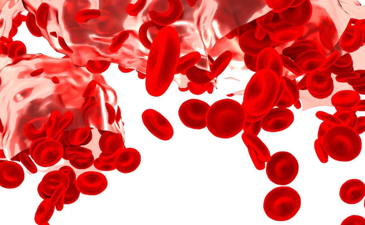 Anemia, cuando 'perdemos' glóbulos rojos