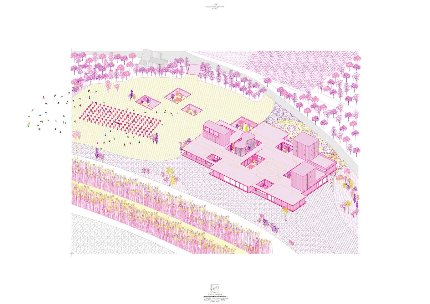 Fotos: Simbiosis arquitectónica entre palomo y hombre, en imágenes