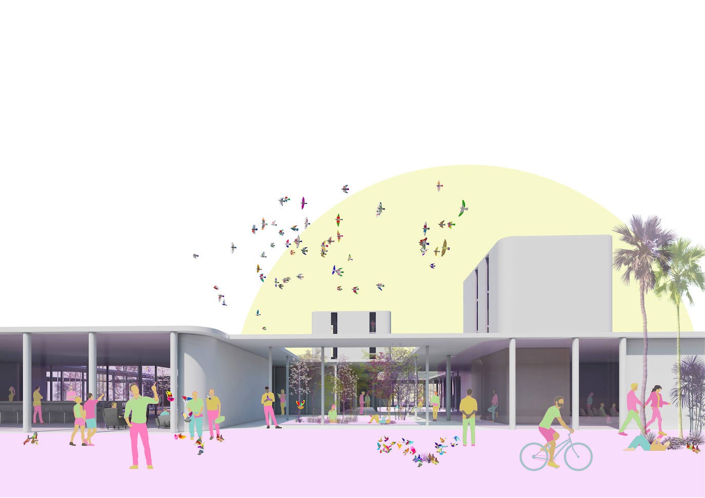 Fotos: Simbiosis arquitectónica entre palomo y hombre, en imágenes
