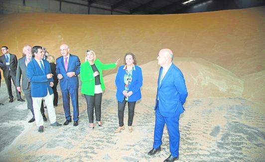 Díez de Revenga, Antonio Campoy (vicepresidente de TMC), Arroyo, Muñoz y Miguel Martínez (presidente de la Cámara) en la nave de cereal. 