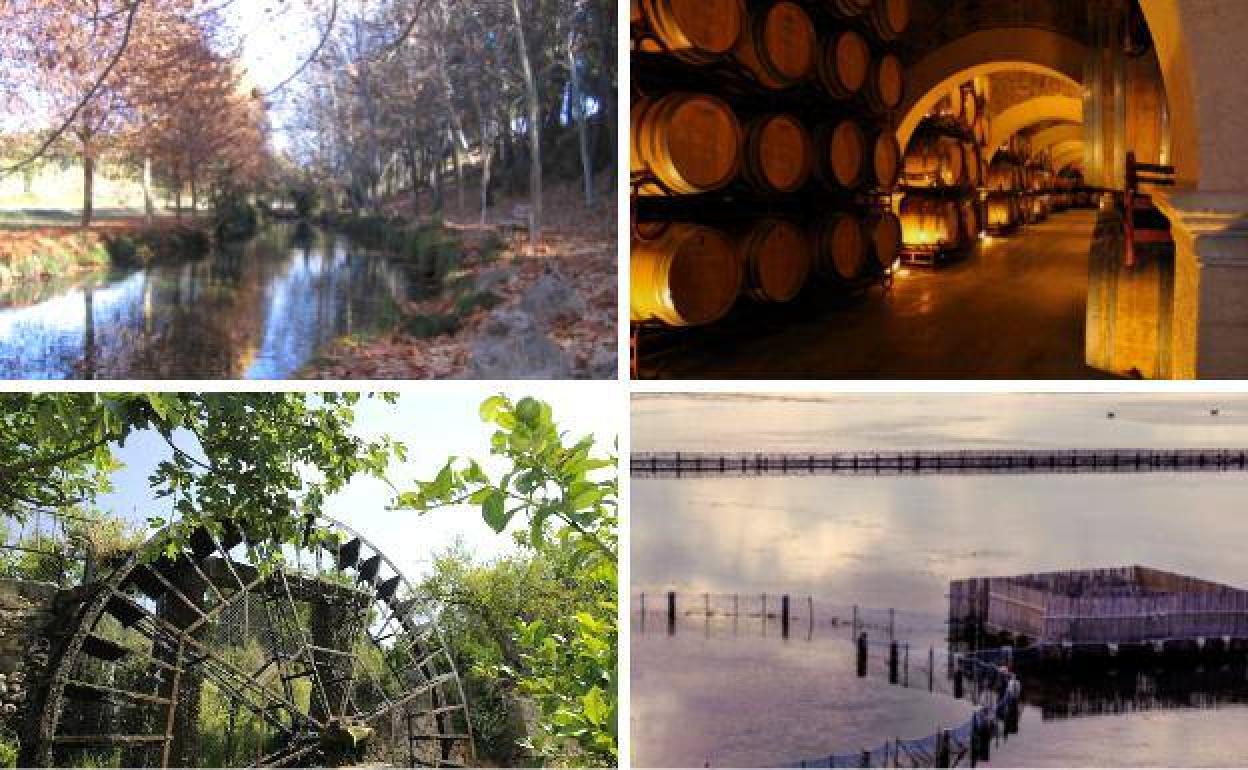 Fuentes del Marqués, bodega Luzón de Jumilla, Noria de Abarán y Salinas de San Pedro. 