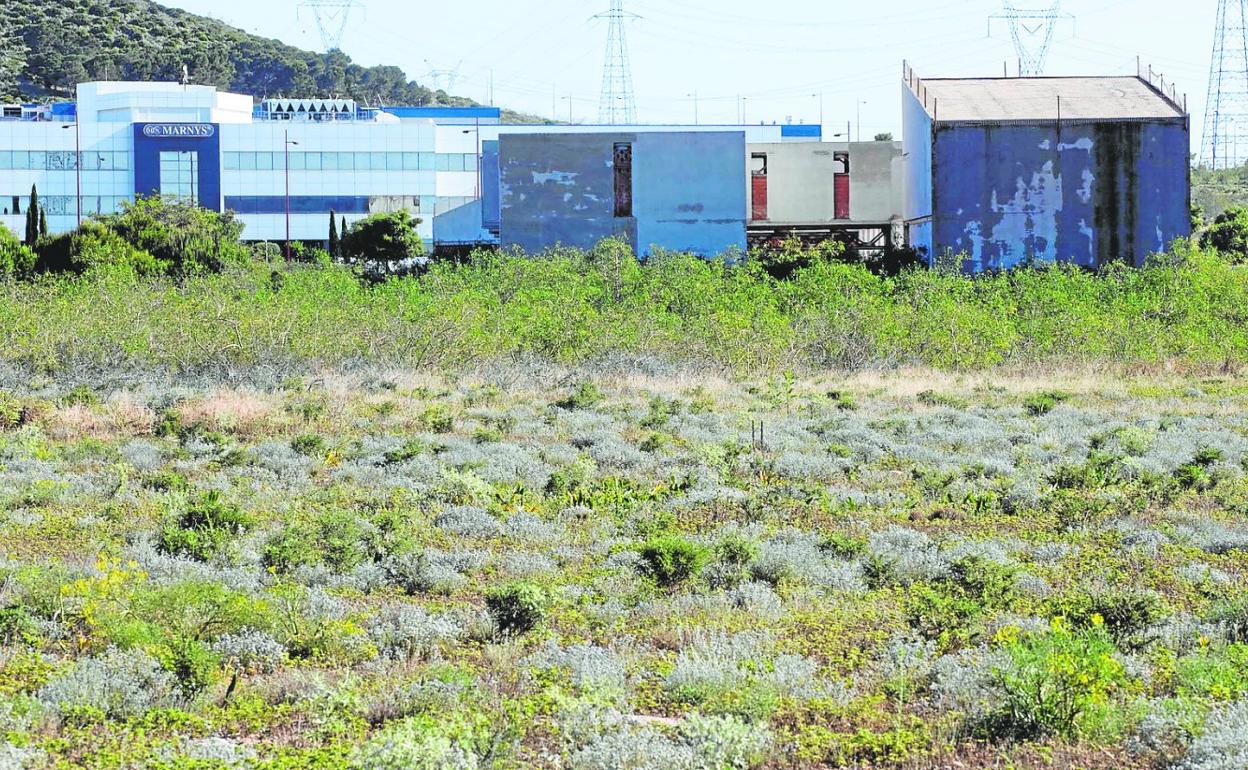 Terrenos ubicados en el polígono Los Camachos, que pronto serán cedidos a la Fremm para el centro de formación. 