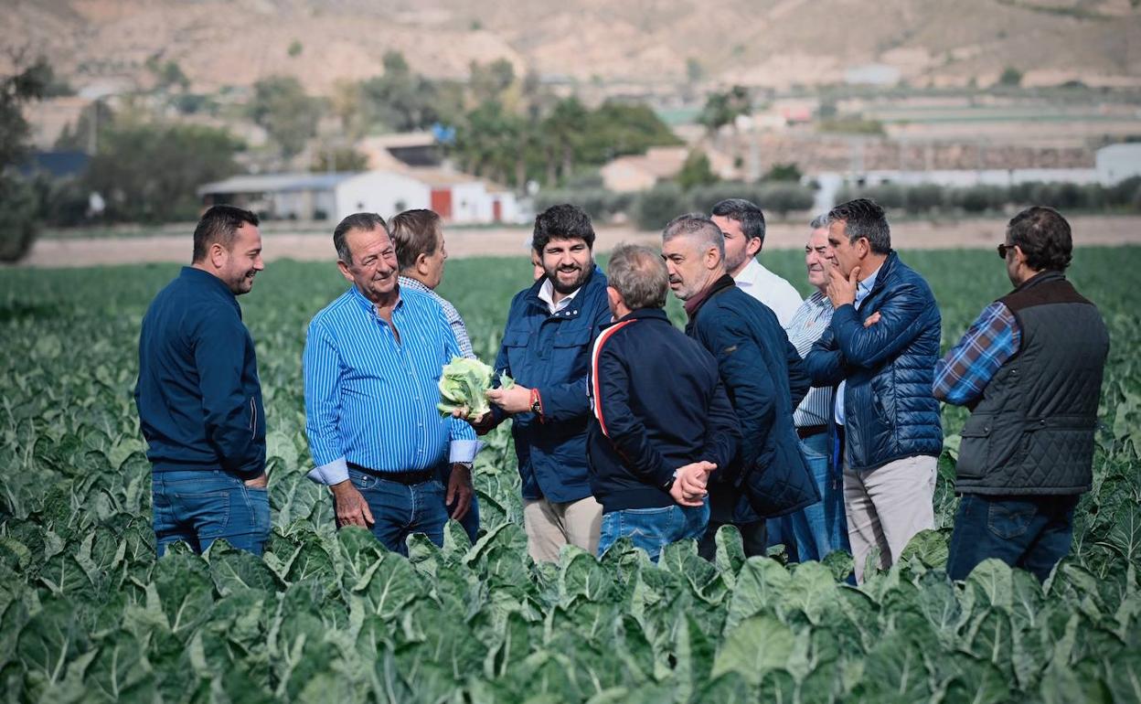 Fernando López Miras, durante su visita, este martes, a los cultivos de coliflor de la empresa Agrícola Santa Eulalia, en Totana. 