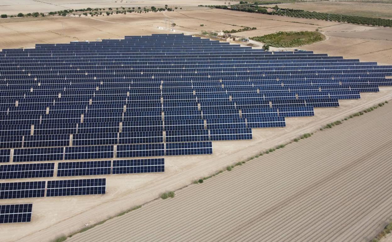 Imagen de archivo de un huerto solar de Soltec.