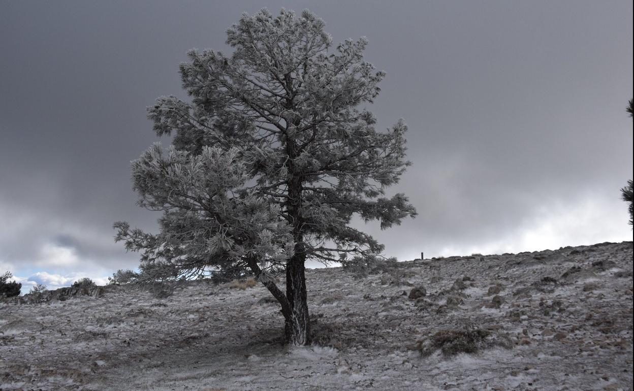 Estampa invernal, este sábado, en el Pico del Obispo.