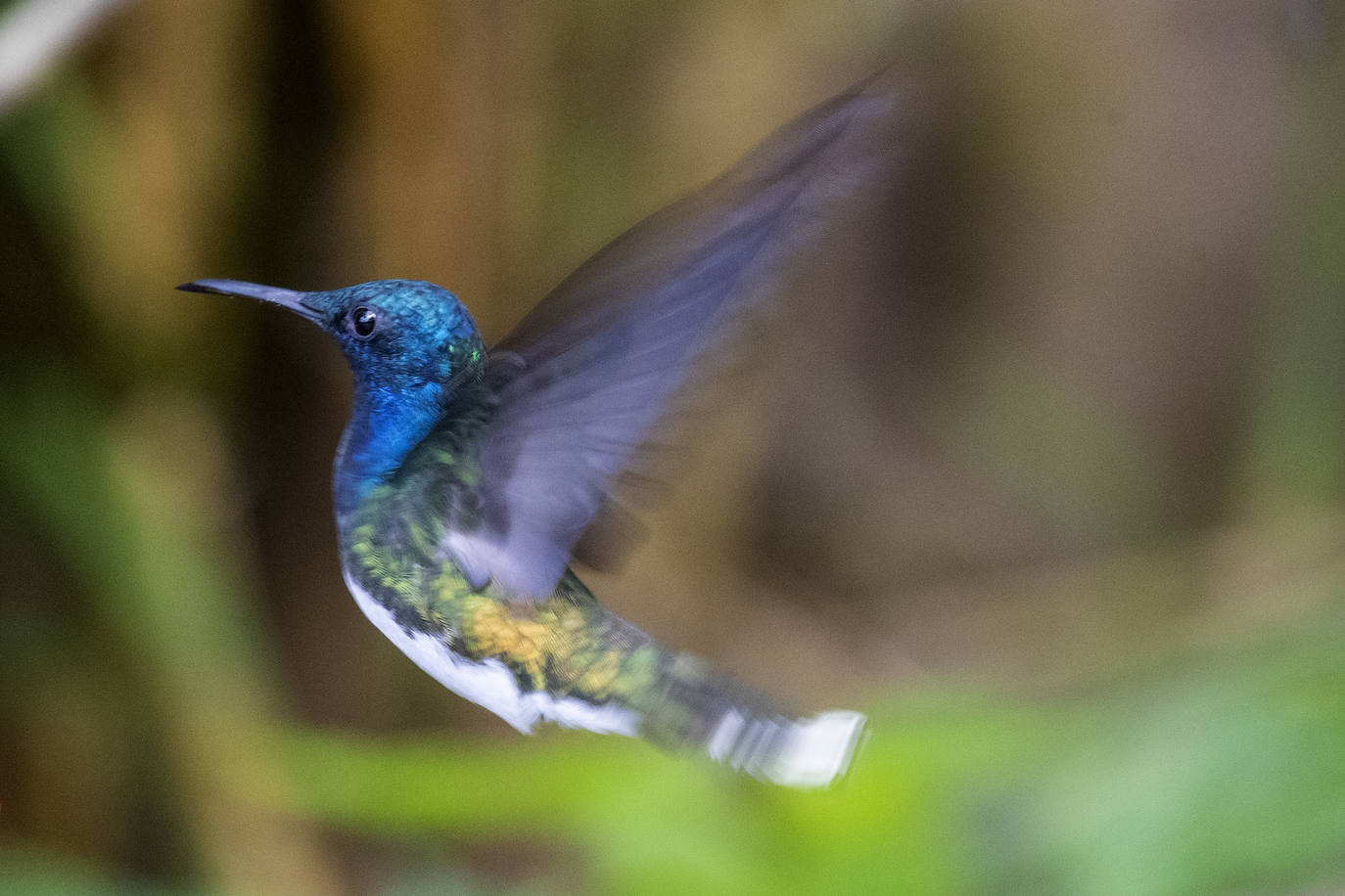 Fotos: Paraíso del &#039;birdwatching&#039;