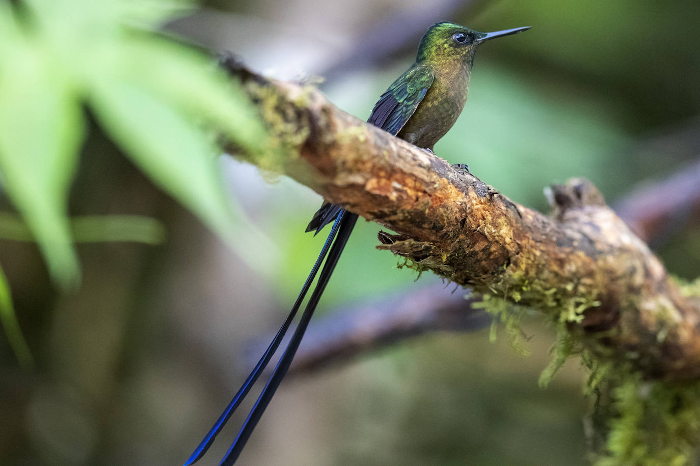Fotos: Paraíso del &#039;birdwatching&#039;