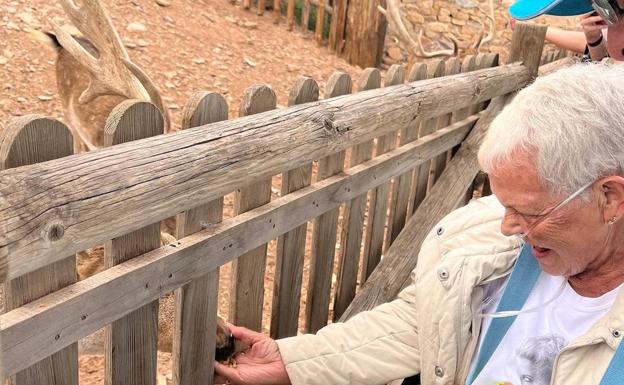 Imagen principal - La Ambulancia del Deseo cumple la petición de tres mujeres y las lleva de excursión a Terra Natura.