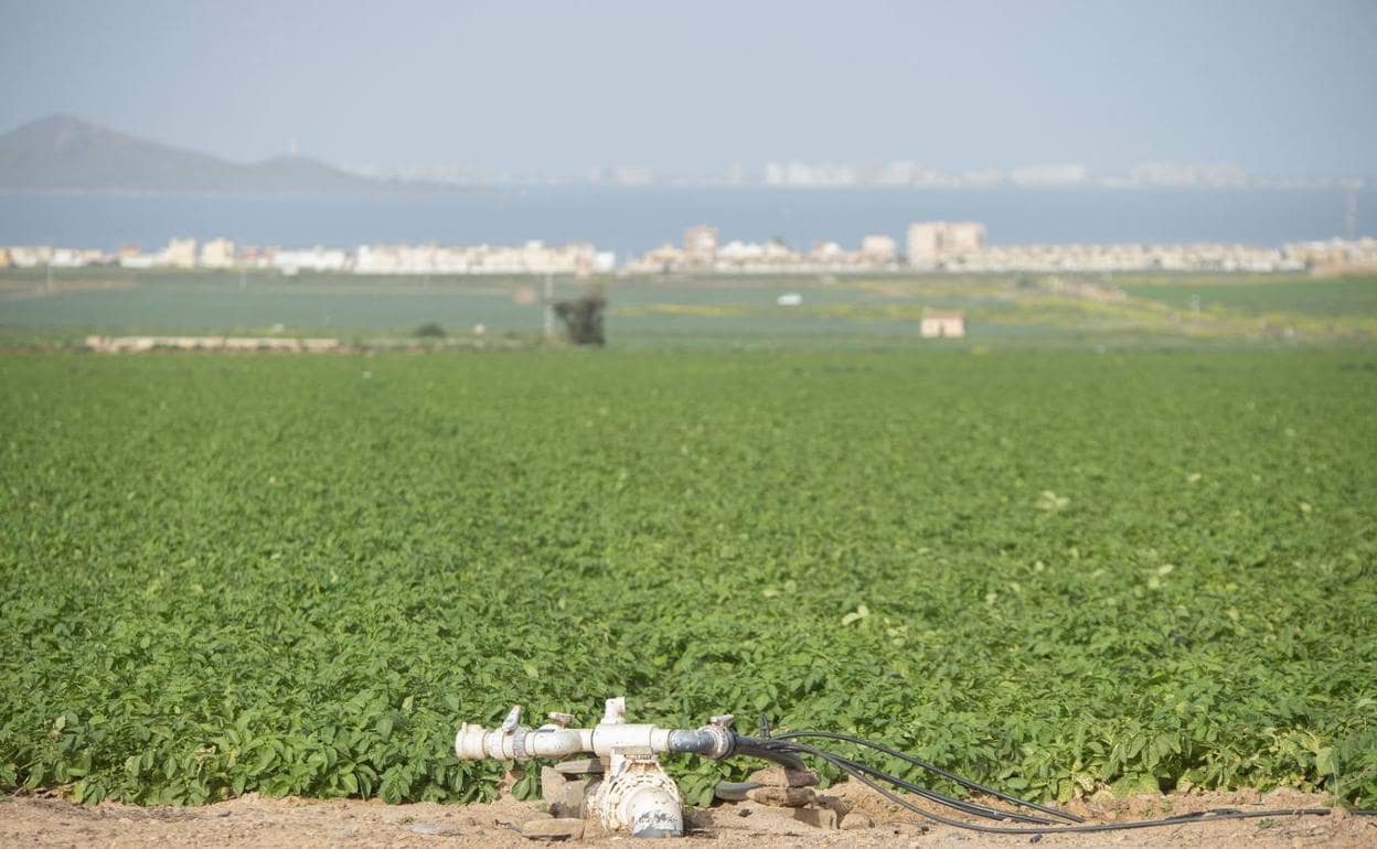 Campos de regadío junto al Mar Menor en una imagen de archivo. 