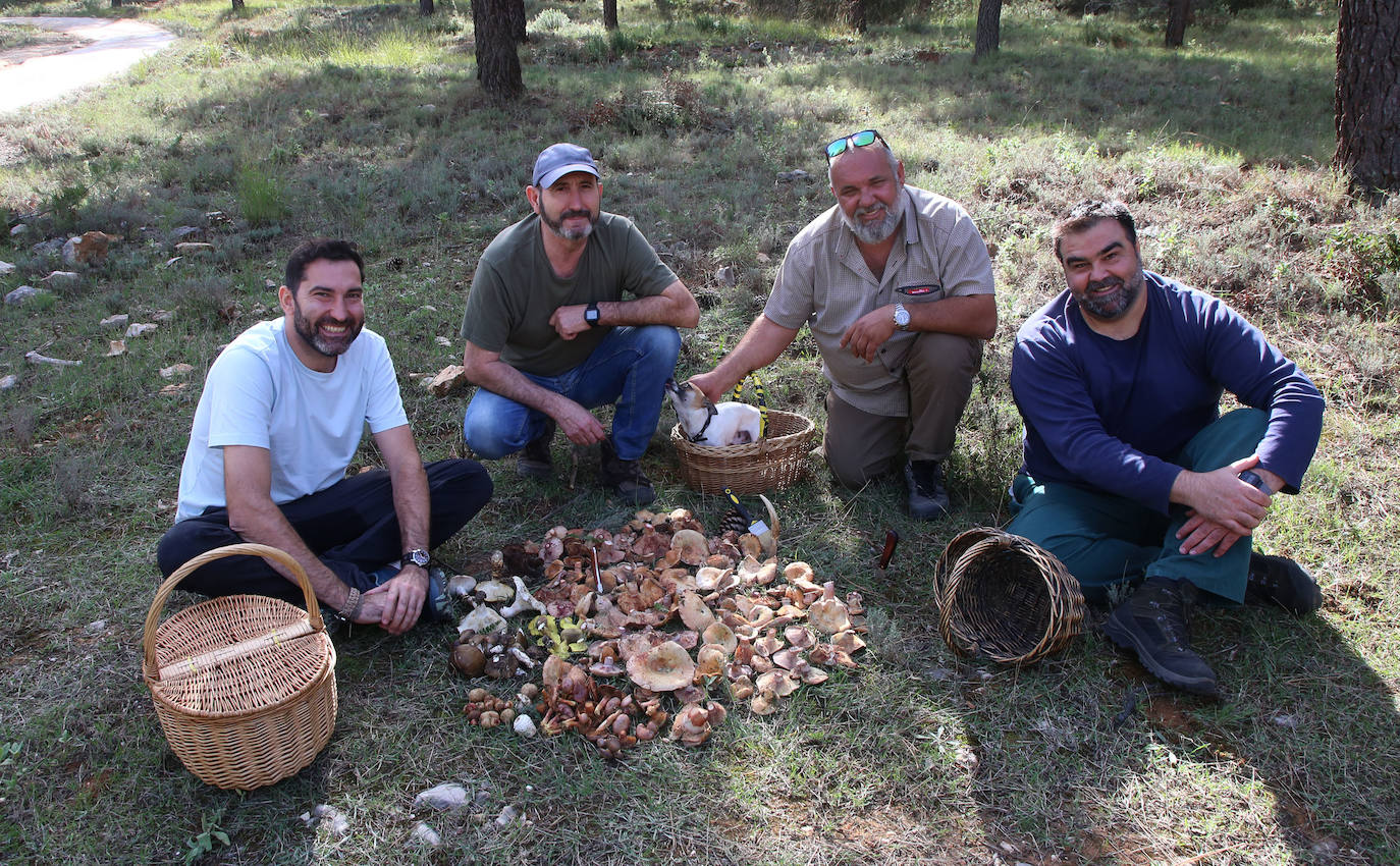 Fotos: Un tesoro culinario en la montaña de Moratalla