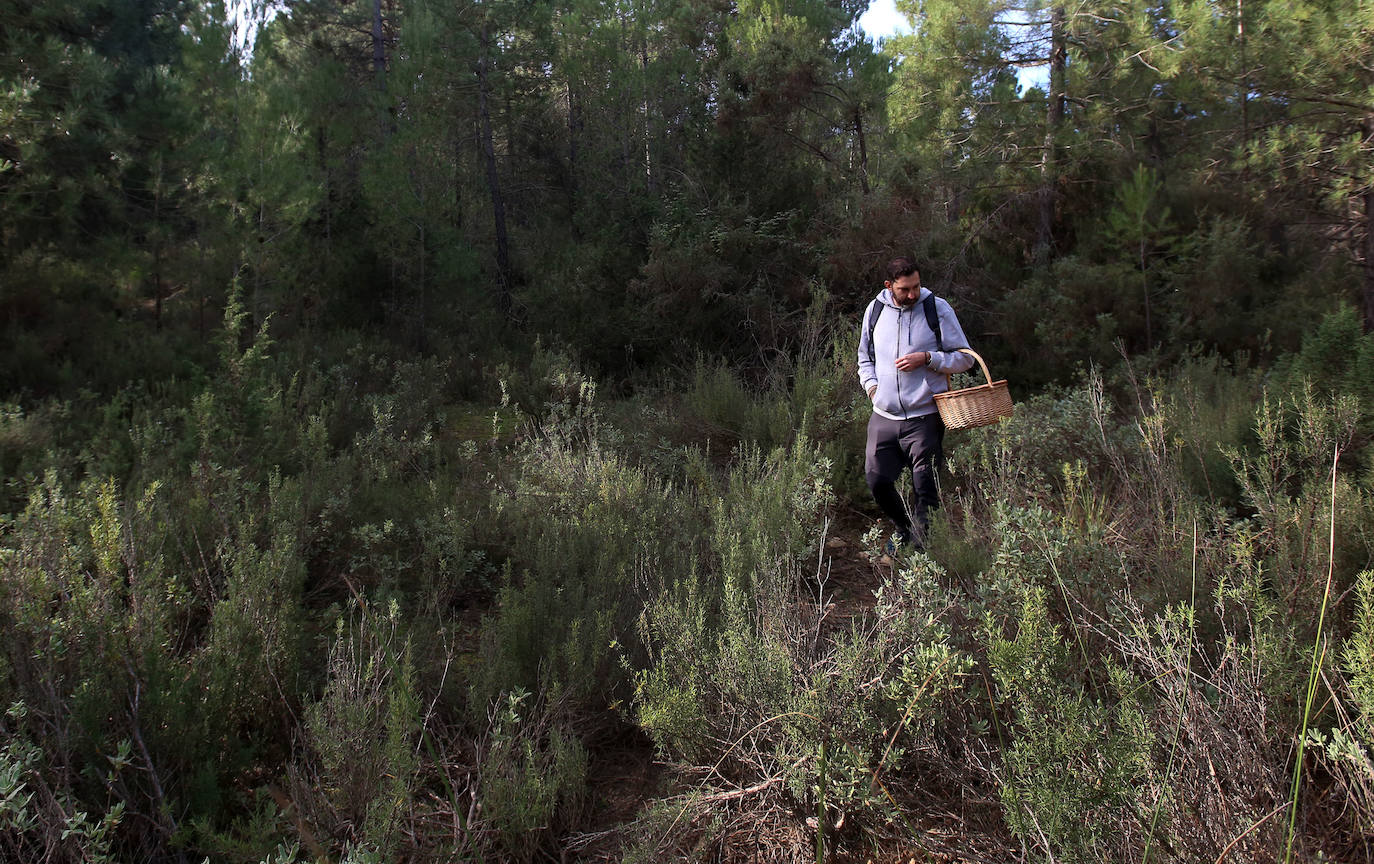 Fotos: Un tesoro culinario en la montaña de Moratalla