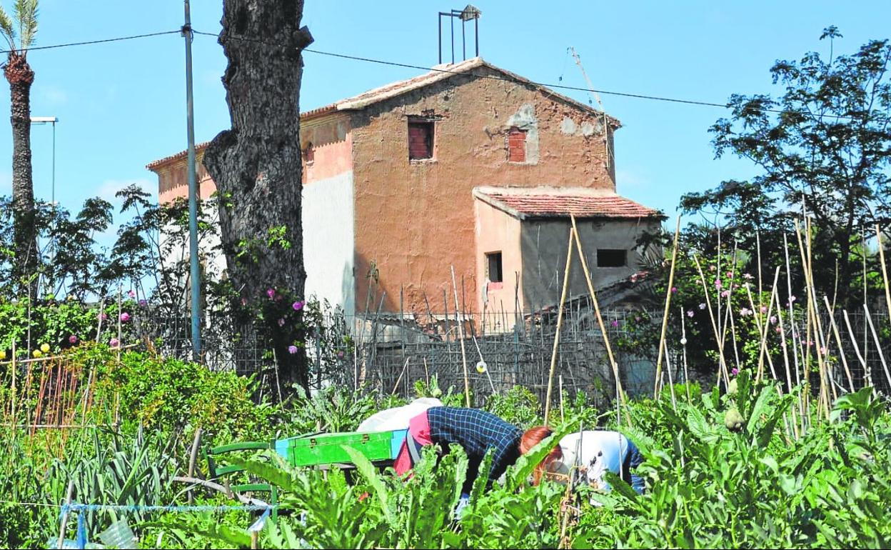 Vecinos trabajan en sus parcelas en el huerto de ocio de la urbanización Joven Futura. Al fondo, Torre Falcón. 