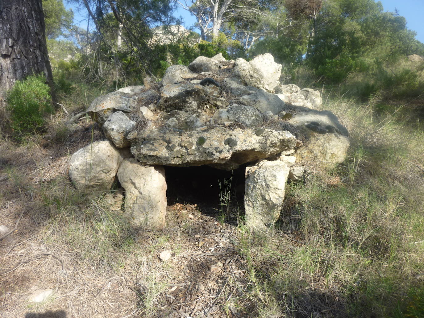 Horno de carbonero en Sierra del Carche