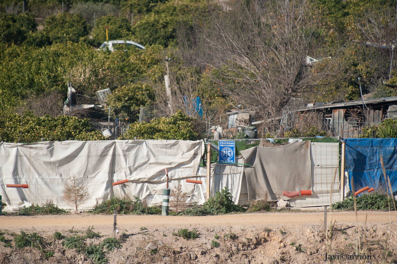 La finca de Javalí Nuevo que fue desalojada por el Seprona en febrero de 2019. 
