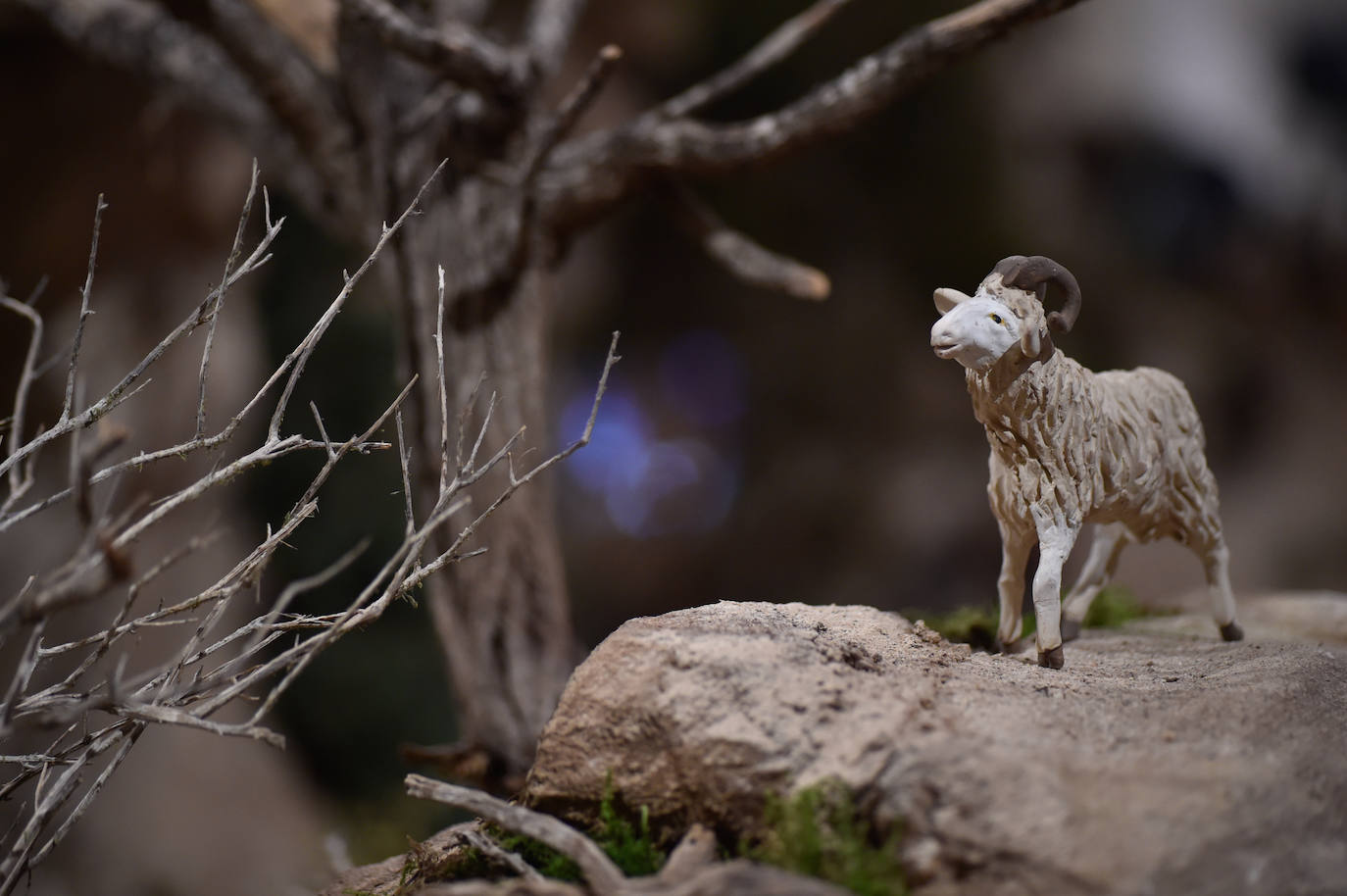 Fotos: La inauguración del Belén de San Esteban, en imágenes