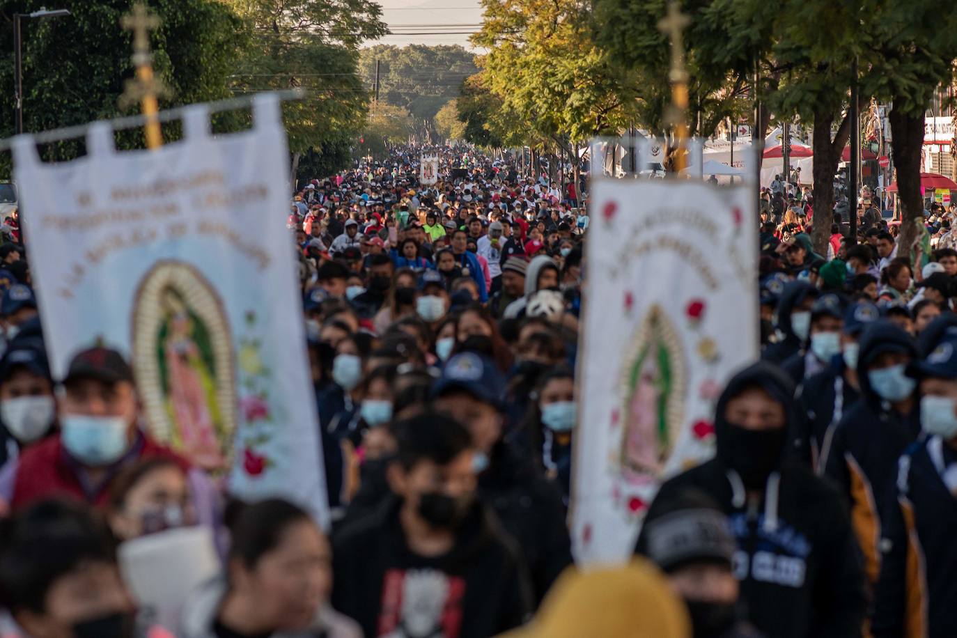 Fotos: Rendidos a la Virgen de Guadalupe