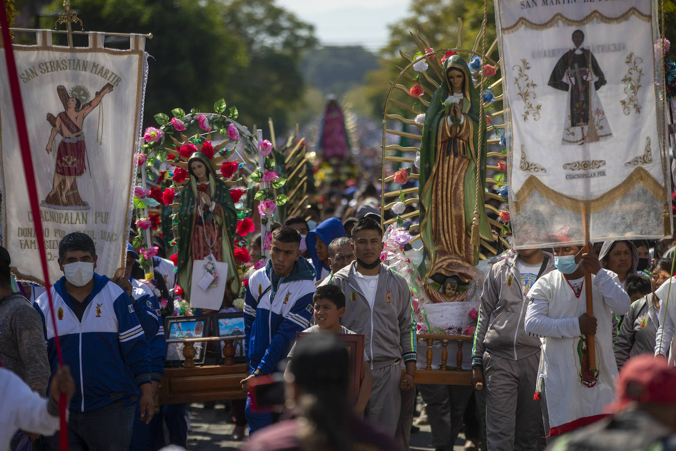 Fotos: Rendidos a la Virgen de Guadalupe