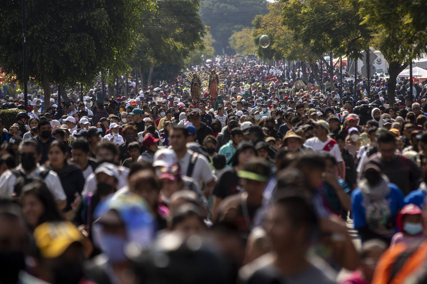Fotos: Rendidos a la Virgen de Guadalupe