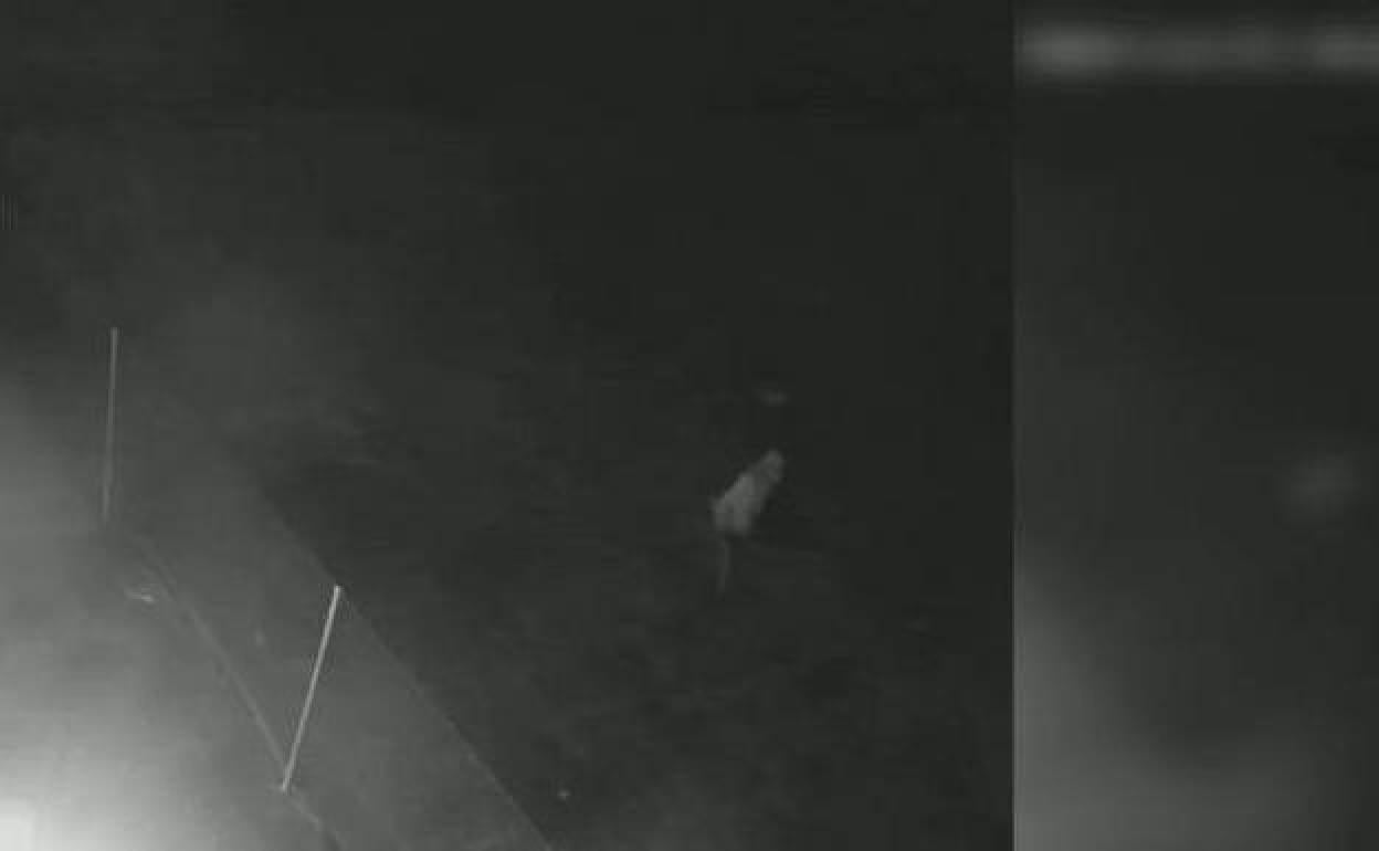 Fotograma de una de las cámaras de seguridad de los vecinos que muestra a los ladrones caminando.