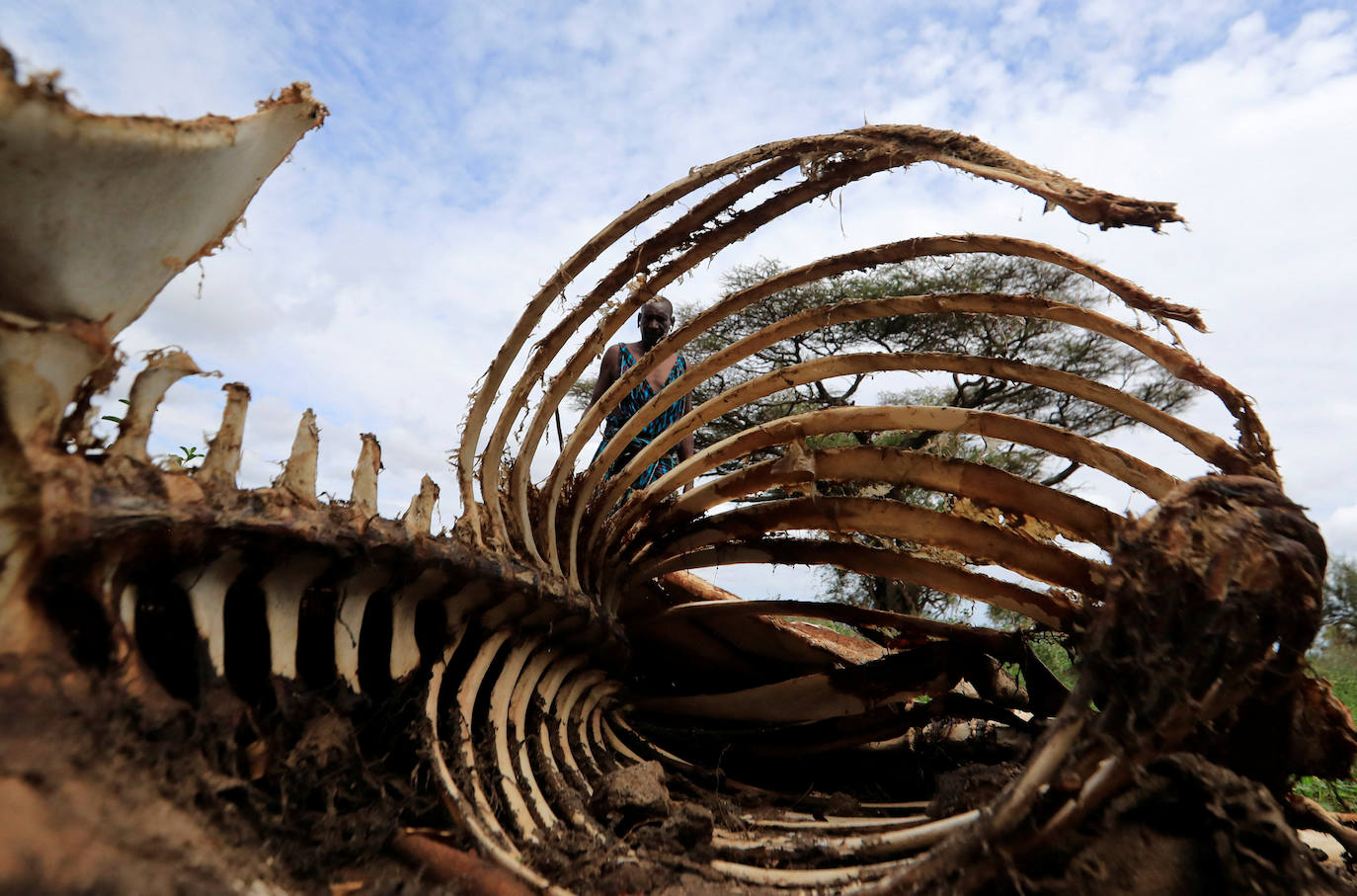 Fotos: Olimpiadas Masái en Kenia