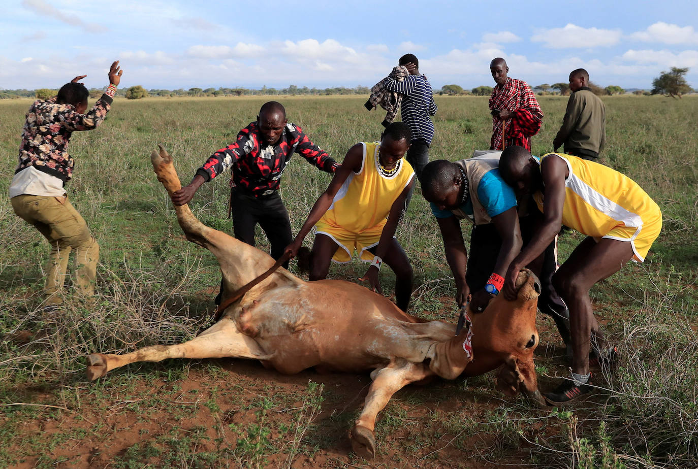 Fotos: Olimpiadas Masái en Kenia