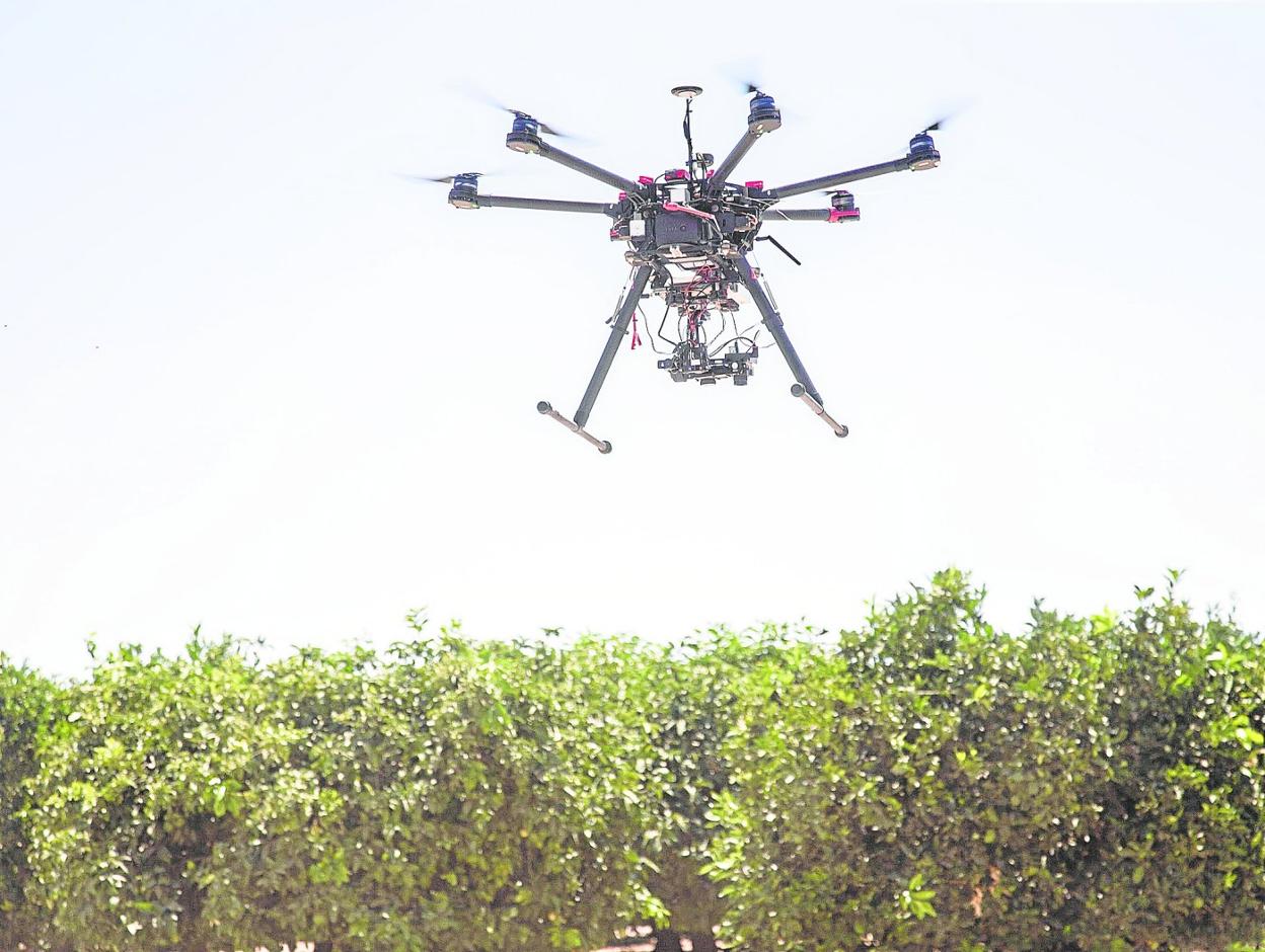 Hexacóptero tomando datos de una plantación de cultivos leñosos.