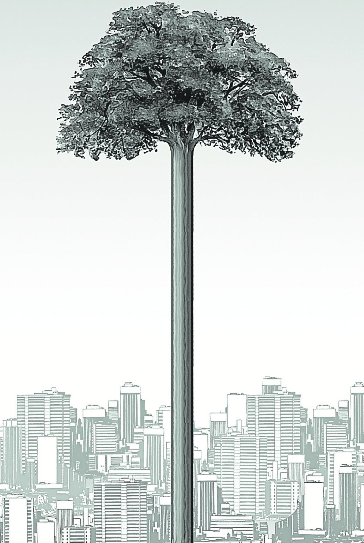 Tender la ropa en mitad del bosque (urbano)