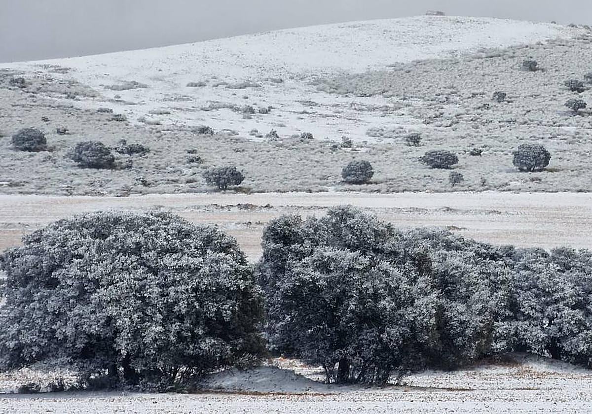 La nieve cubre zonas cercanas a la sierra de La Junquera, en Caravaca de la Cruz, el pasado 25 de febrero.