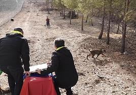 Liberación de 'Tejo', este martes.