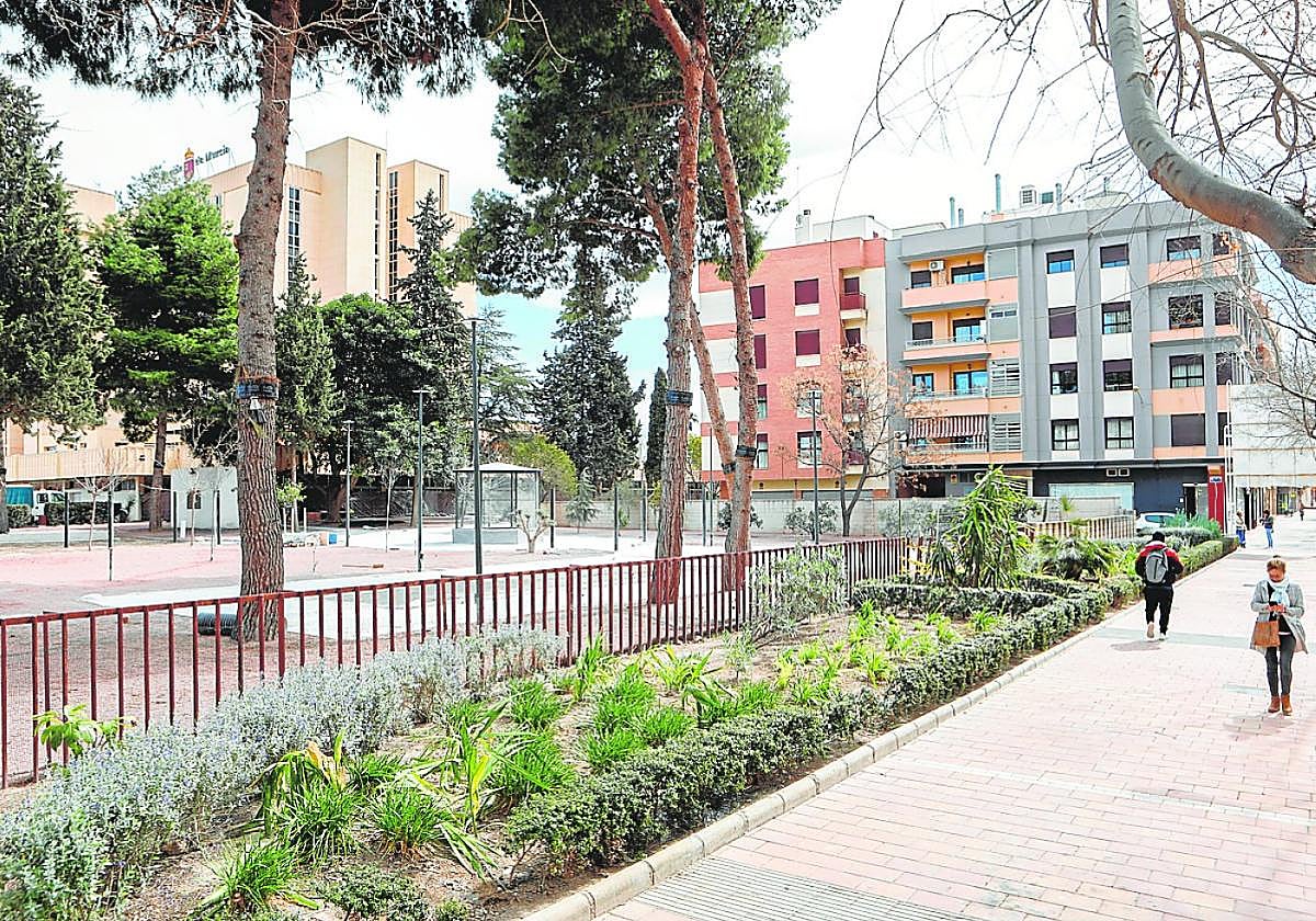 Estado actual de los jardines de la residencia Domingo Sastre tras la tala de ocho árboles.