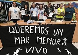 Representantes de las organizaciones que integran la plataforma en defensa del Mar Menor, este jueves en el edificio Moneo de Murcia.